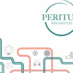 Peritum-Agri-gap-year-podcast